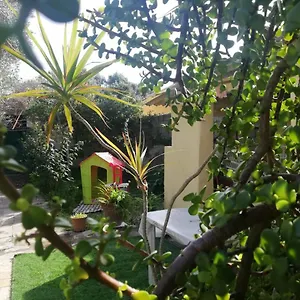  Сasa de vacaciones Sa Domu Antiga Italia